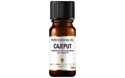 amphora aromatics cajeput pure essential oil 
