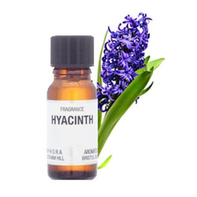 Amphora  Aromatics Hyacinth Fragrance Oil 10ml